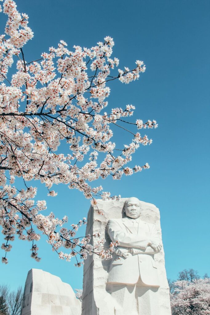 2 Day Washington DC Itinerary: Cherry Blossom Edition