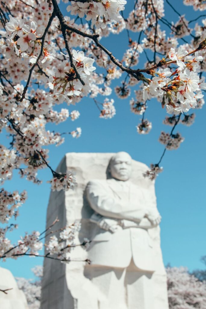 2 Day Washington DC Itinerary: Cherry Blossom Edition