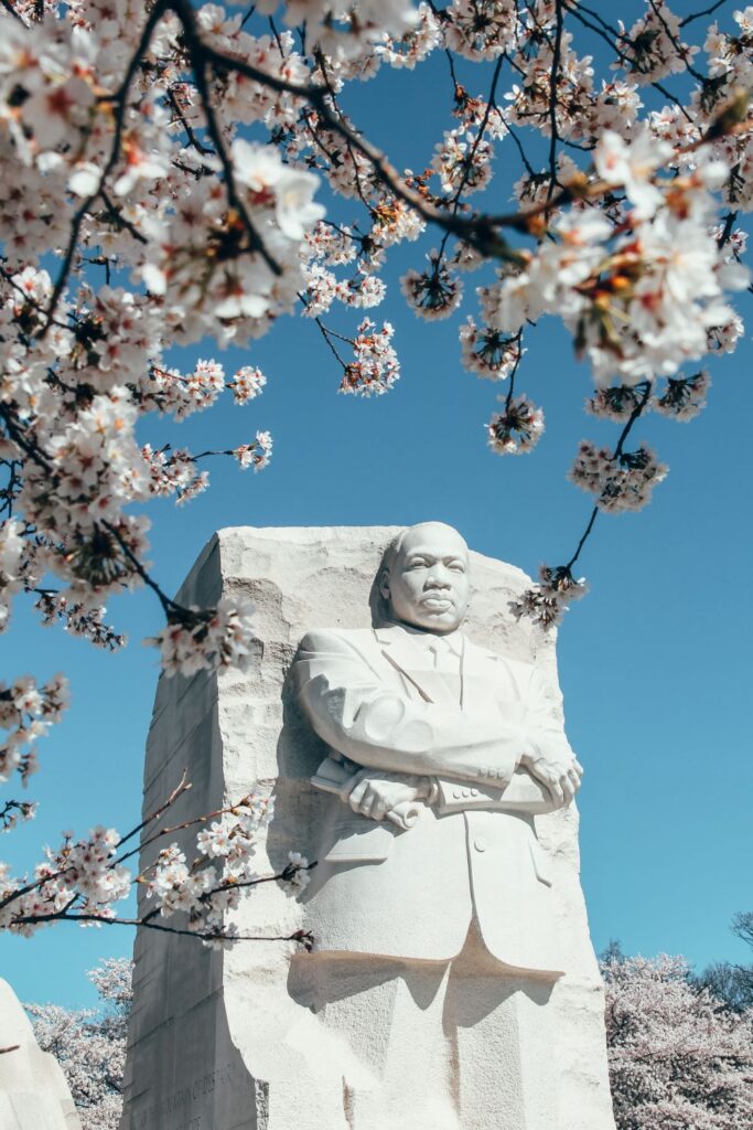 2 Day Washington DC Itinerary: Cherry Blossom Edition