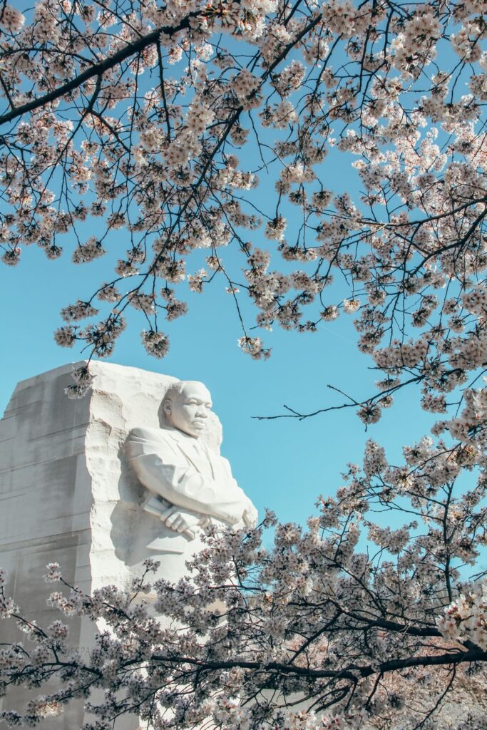 2 Day Washington DC Itinerary: Cherry Blossom Edition