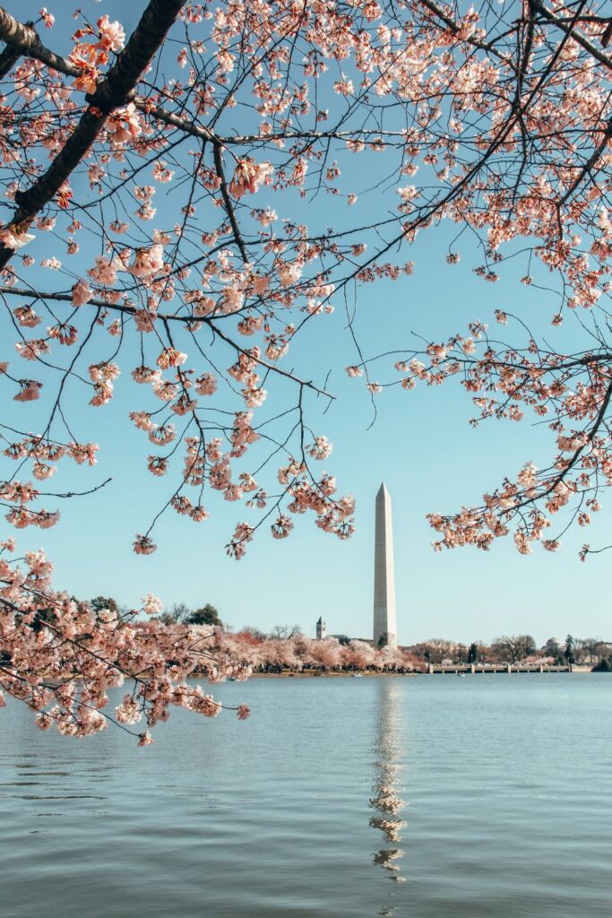 2 Day Washington DC Itinerary: Cherry Blossom Edition