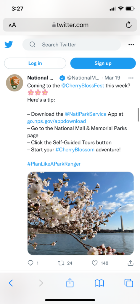 2 Day Washington DC Itinerary: Cherry Blossom Edition