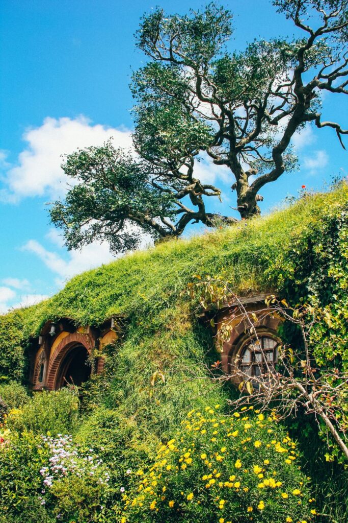 Lord of the Rings Filming Location