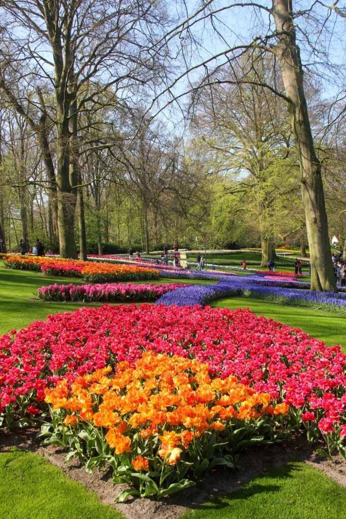 Keukenhof Garden