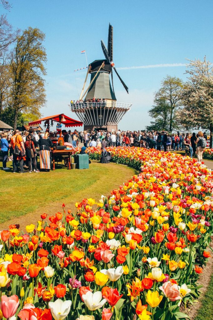 Keukenhof Garden