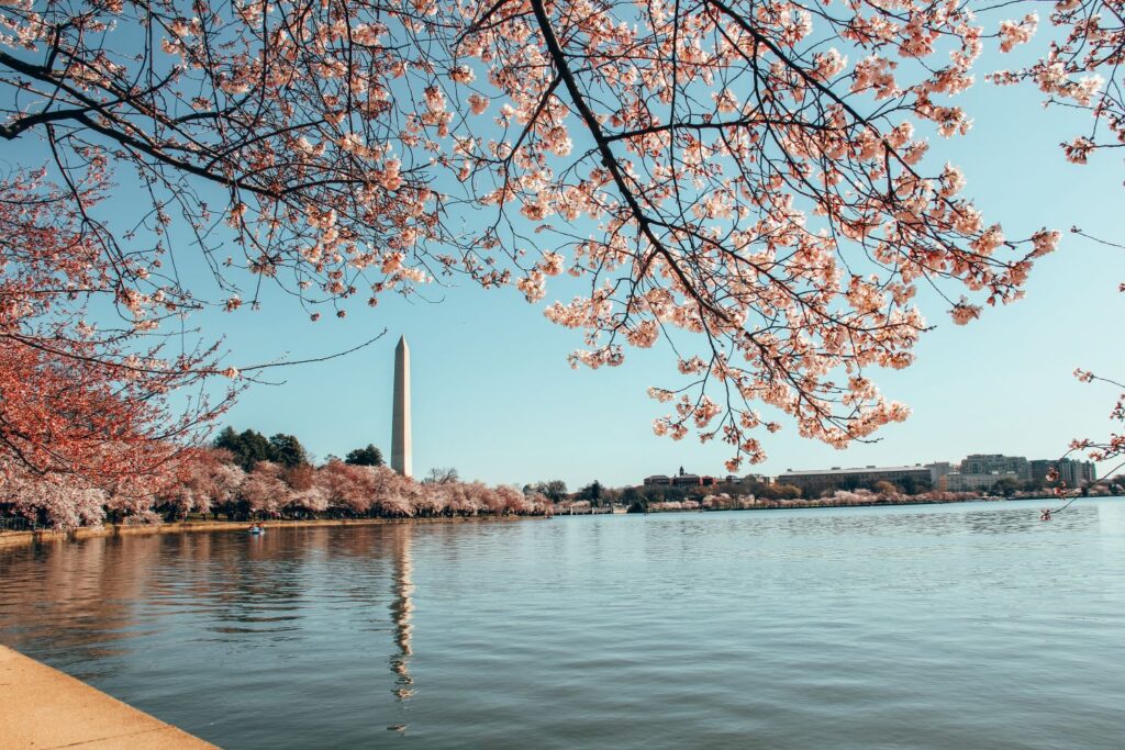 2 Day Washington DC Itinerary: Cherry Blossom Edition