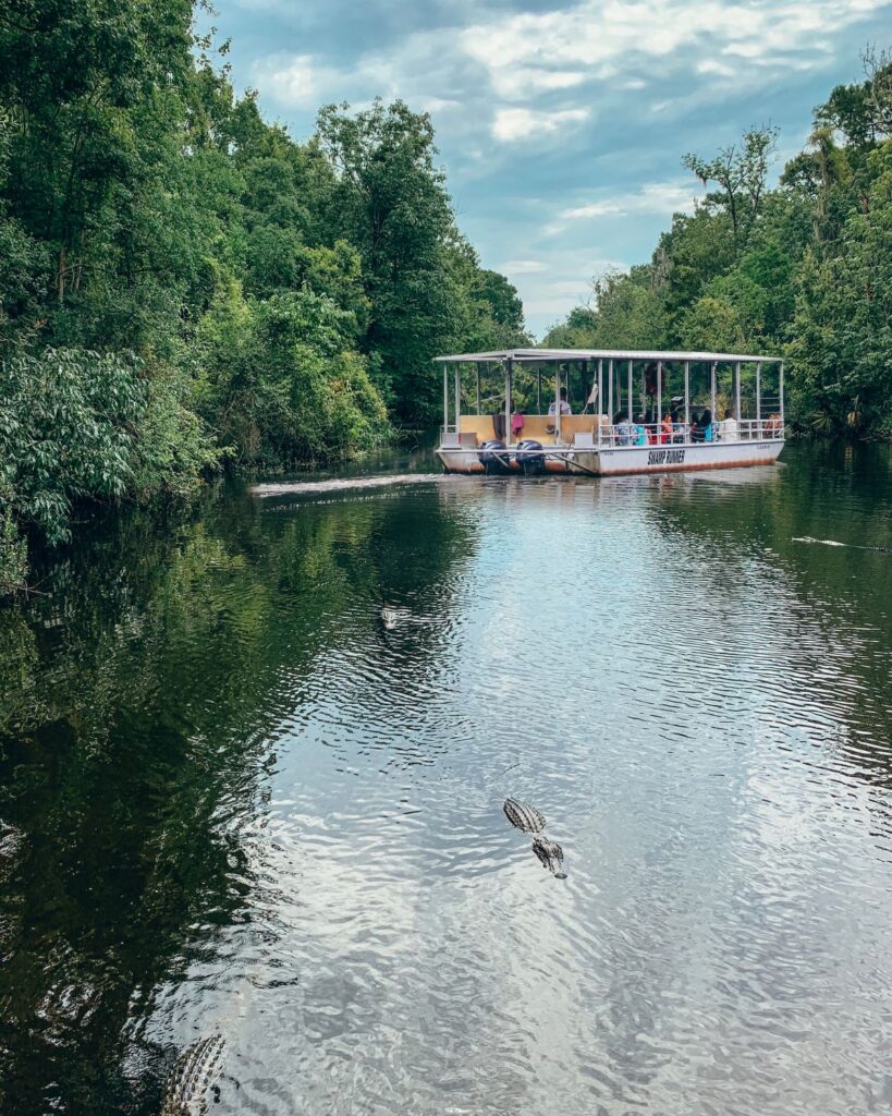 Swamp Tour New Orleans