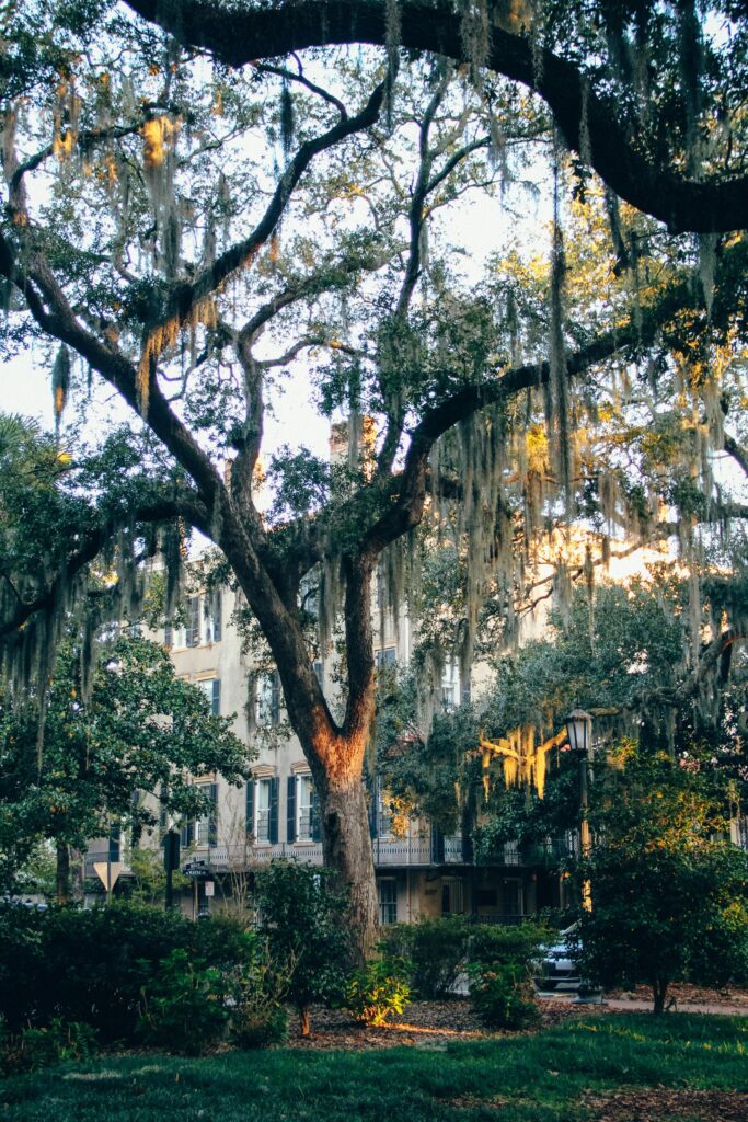 Coolest Cities to Visit in the US