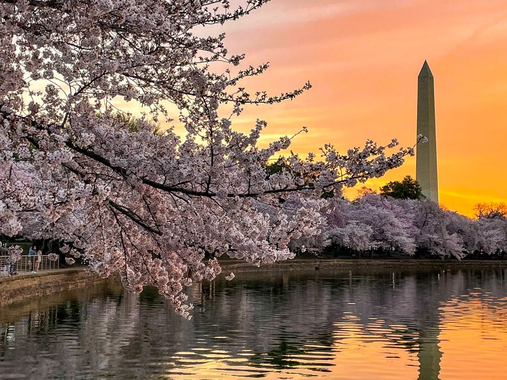 Coolest Cities to Visit in the US