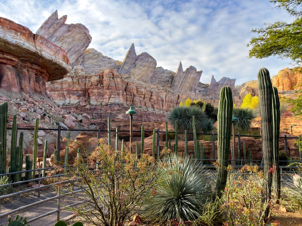 Radiator Springs Racers (Cars ride)