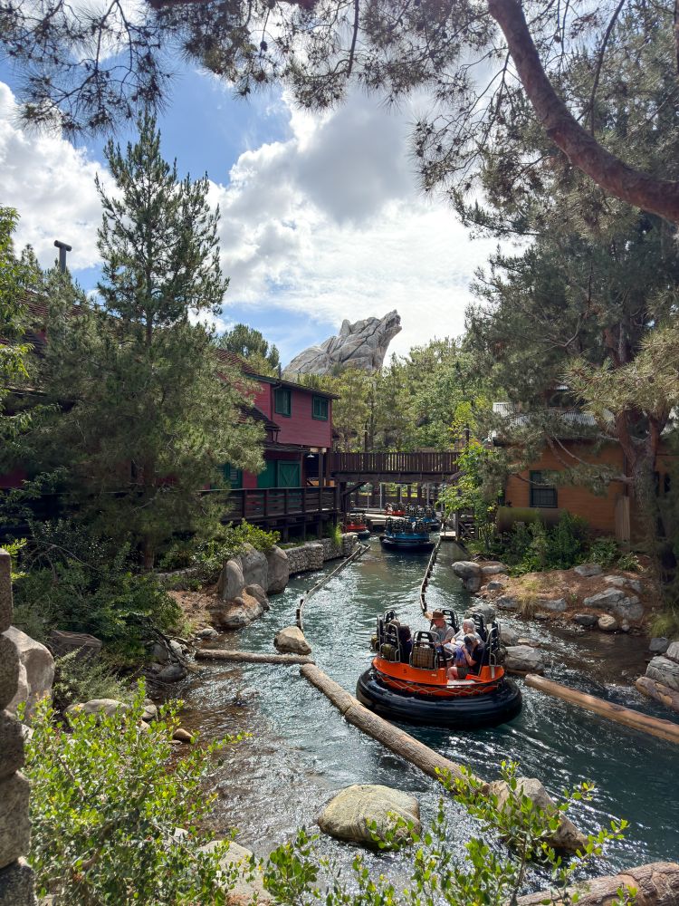 Best Rides at California Adventure