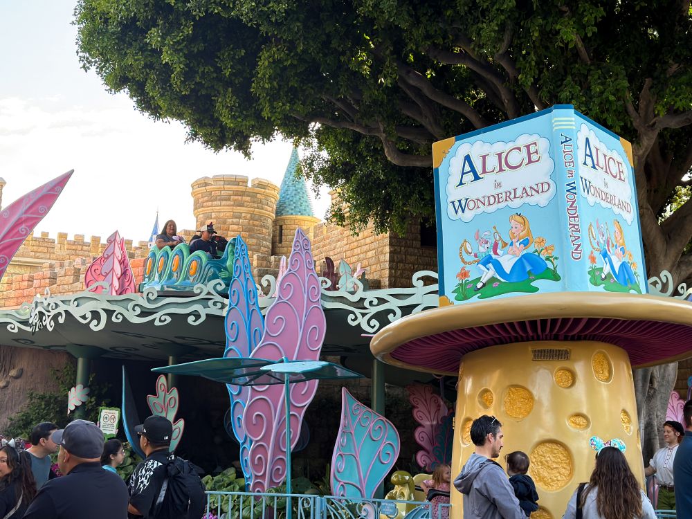 Best Rides at Disneyland