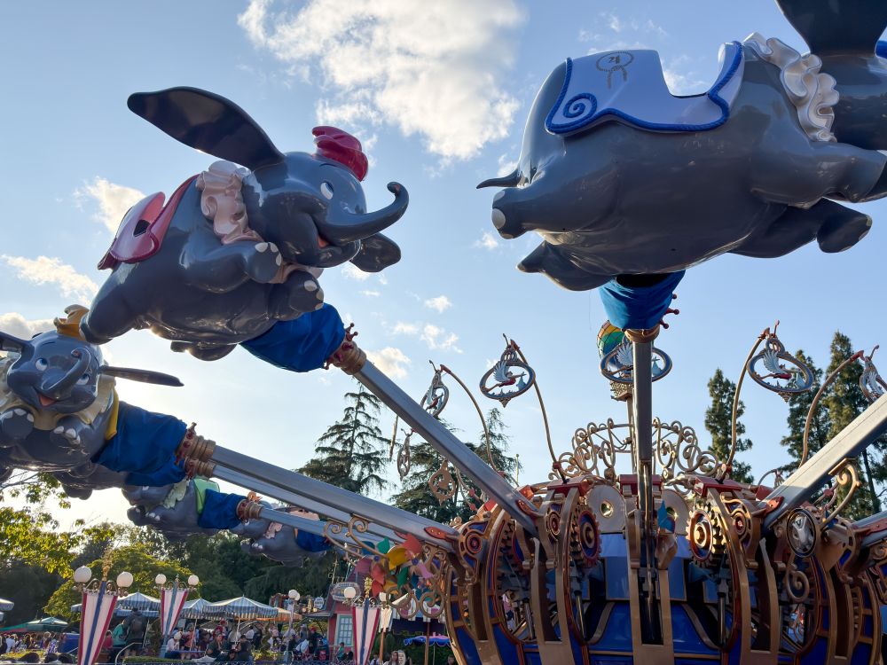 Dumbo
