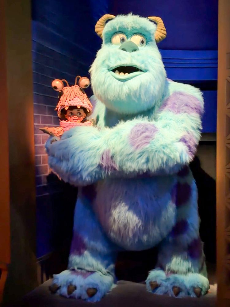 Best Rides at California Adventure