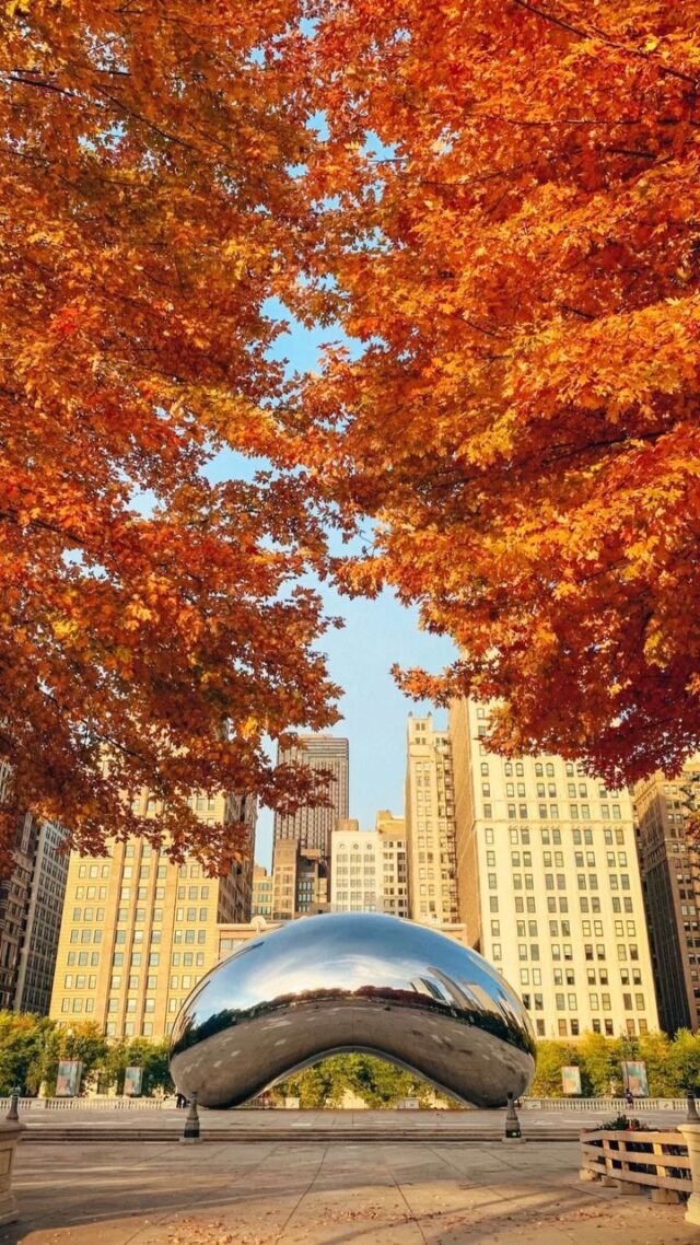 If there’s one place you should go in Chicago to see the fall colors it’s Millennium Park. ⁣
⁣
Get there around 7am if you’d like to take pictures with no one in them. ♥️⁣
⁣
⁣
#windycitylivechicago #fallinchicago #chicagotravelblogger #chicagotravelers #chicagotraveldiaries #fallcity #solotravelstory #shotsofchicago #thewindycity #milleniumparkchicago #theloopchicago #chicagotraveler #phototravelbugchicago #chicagotravelguide #travellechicago
