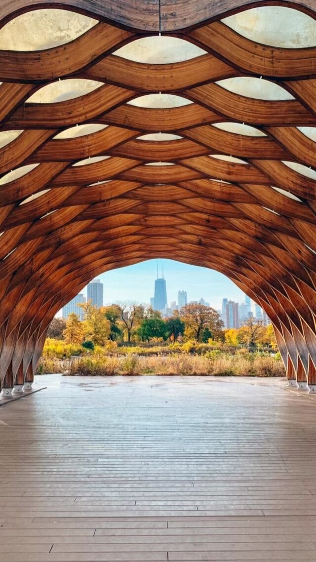 Want to know one of my favorite parts of taking pictures in Chicago? The perfect photo op is postcard worthy in ANY season. 😍😍⁣
⁣
*** Find this perfect view at the Nature Boardwalk at Lincoln Park Zoo. ***⁣
⁣
⁣
#theloopchicago #solotravelsociety #solotravelstory #chicagoviews💖 #fallcity #chicagoshotsphotography #chicagogirlforever #chicagozoo #chicagoviews❤️ #skylinespecs #shotsofchicago #chicagoviews🏙